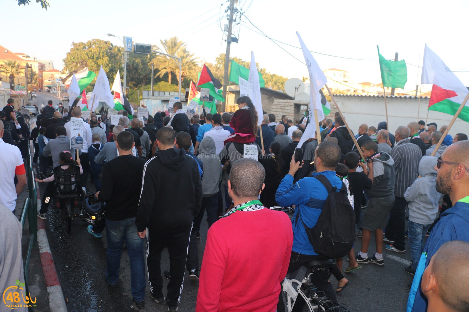 yaffa modahara jeq (62).jpg